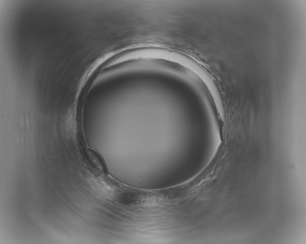 X0000075820200200609291420