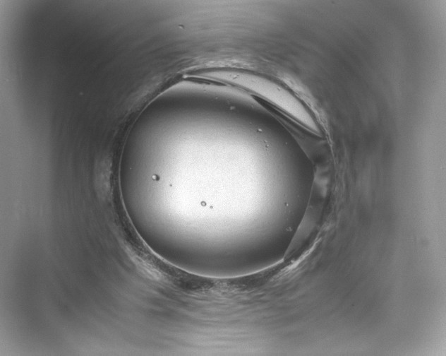 X0000075820201200609291419