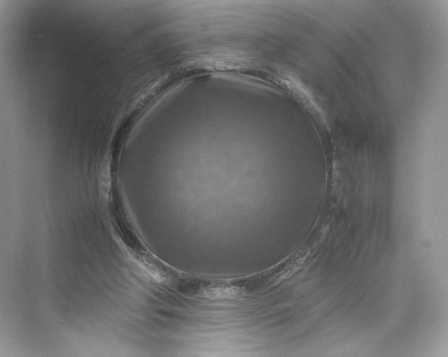 X0000075820202200609291419