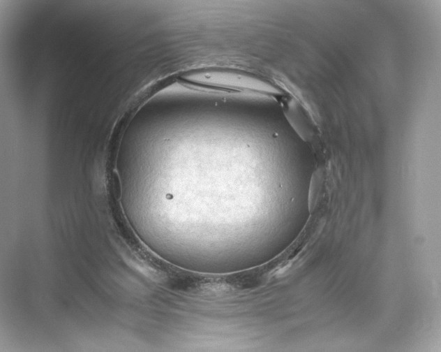 X0000075820203200609291419