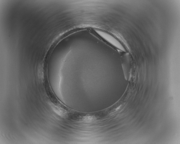 X0000075820204200609291419