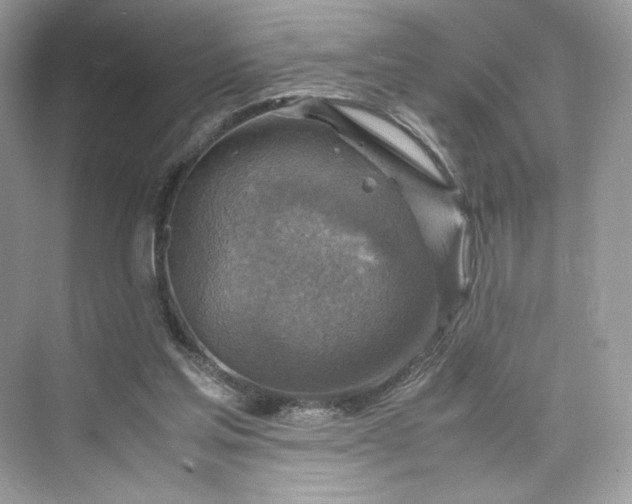 X0000075820205200609291419