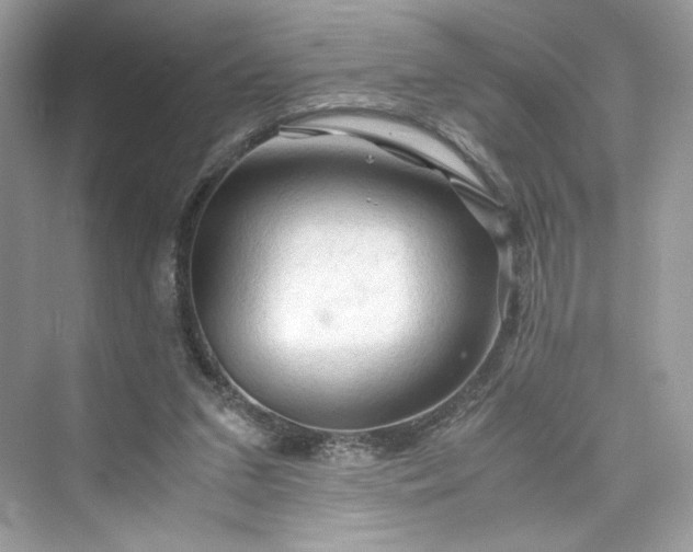 X0000075820207200609291419