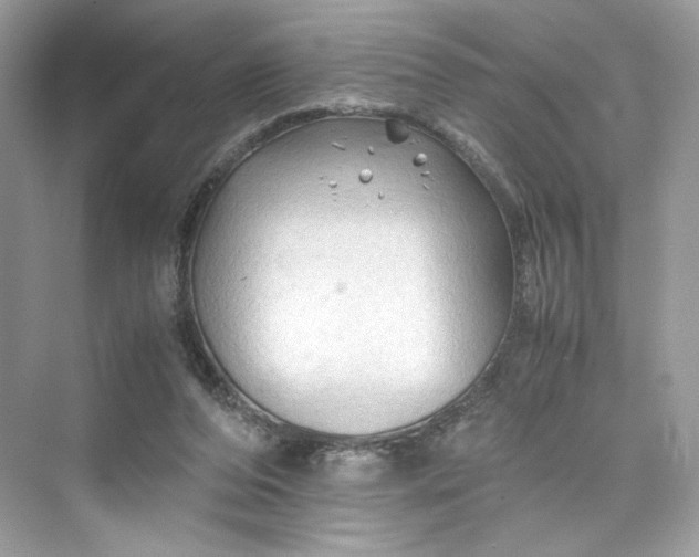 X0000075820208200609291419