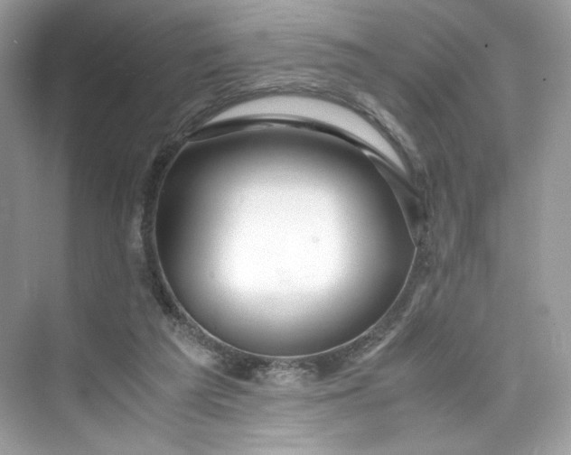 X0000075820209200609291419