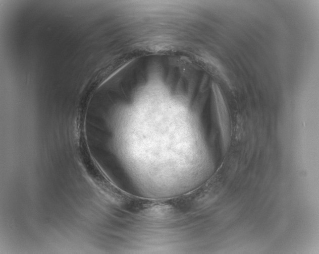 X0000075820210200609291419