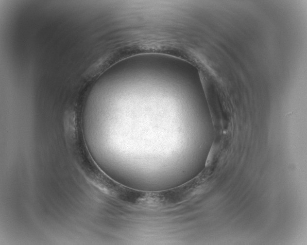 X0000075820211200609291419