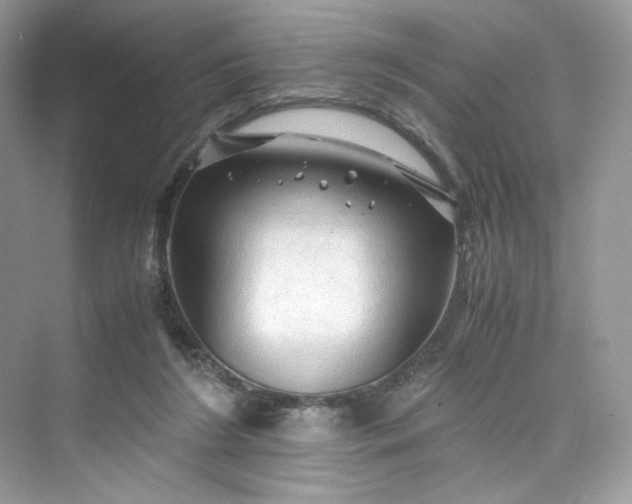 X0000075820212200609291419