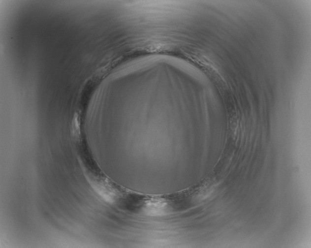 X0000075820214200609291419