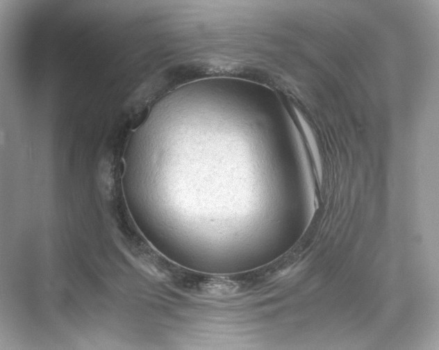 X0000075820215200609291419