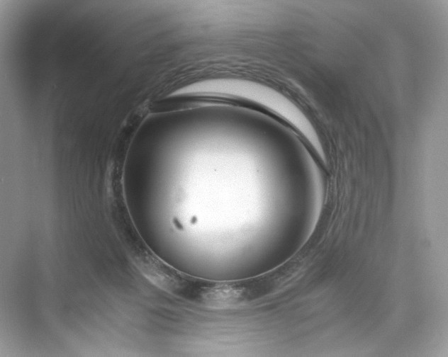 X0000075820217200609291419