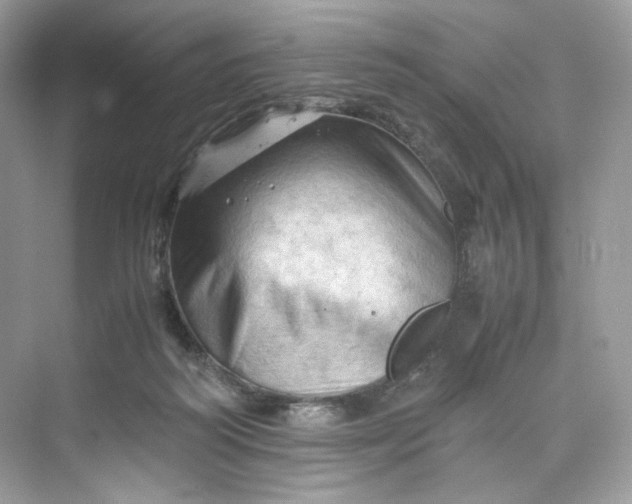 X0000075820218200609291419