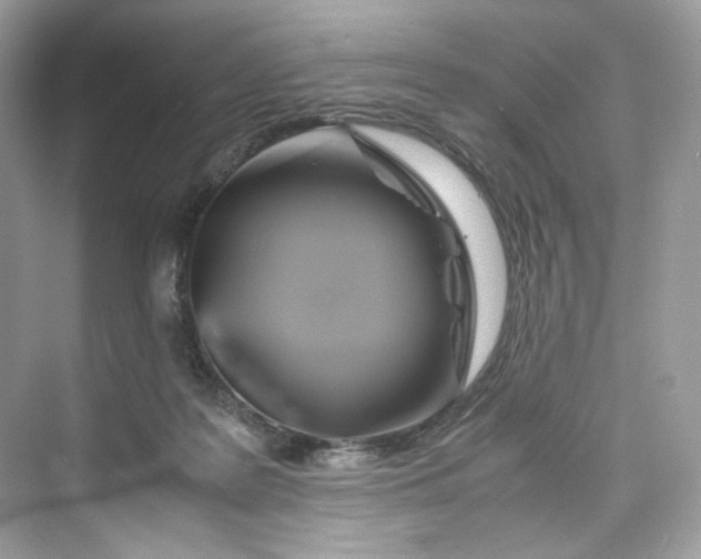 X0000075820219200609291419