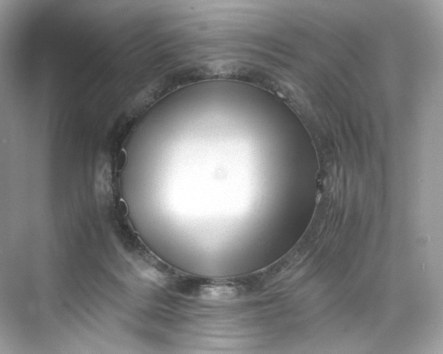 X0000075820220200609291419