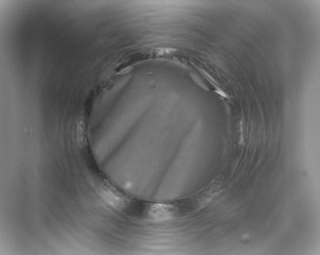 X0000075820222200609291419