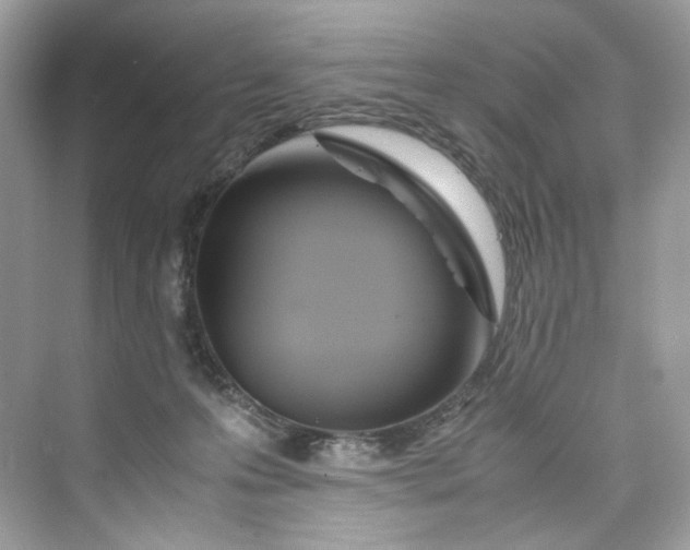 X0000075820223200609291419