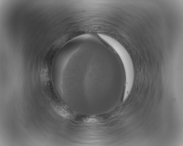 X0000075820224200609291419