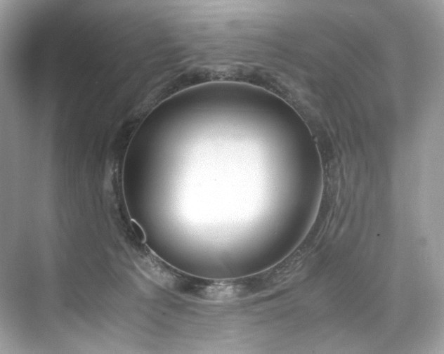 X0000075820225200609291419