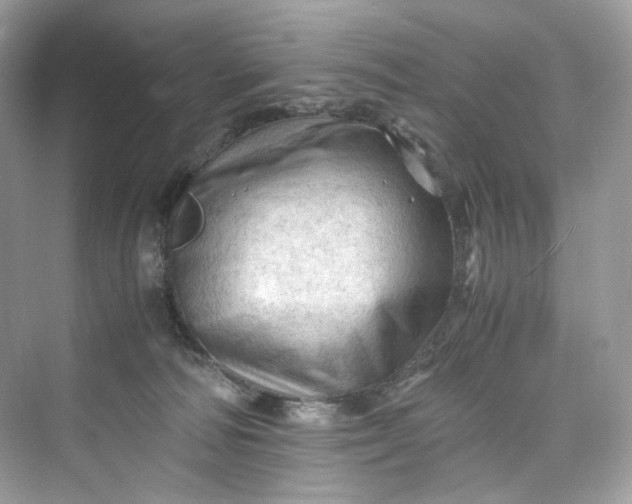 X0000075820226200609291419