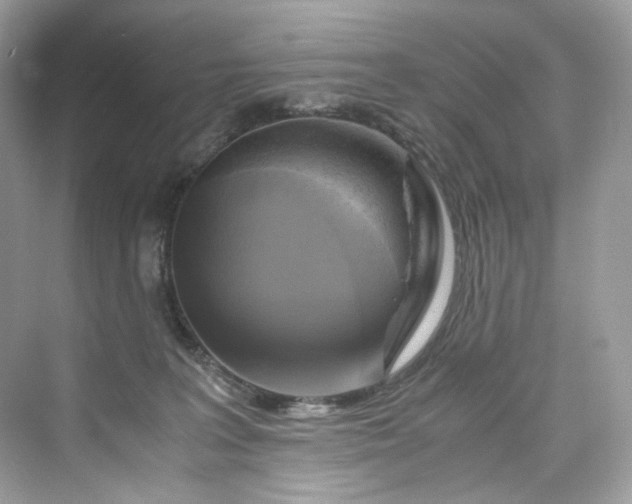 X0000075820227200609291419