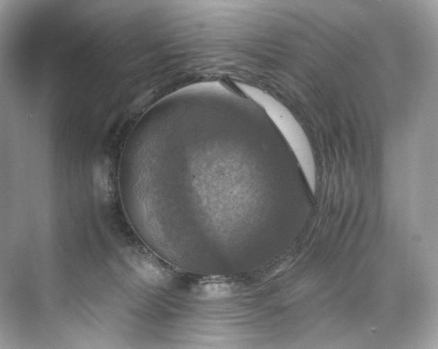 X0000075820228200609291419