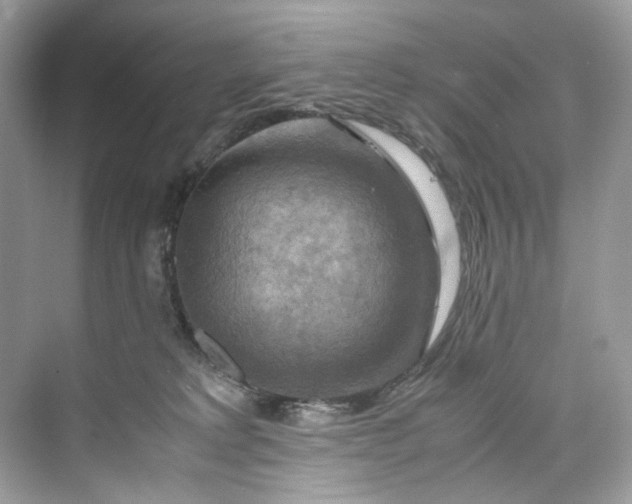 X0000075820229200609291419