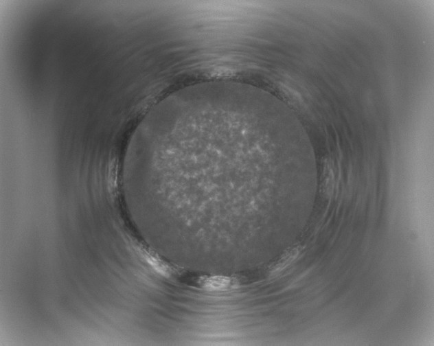 X0000075820230200609291419