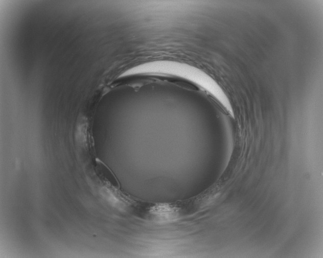 X0000075820231200609291419