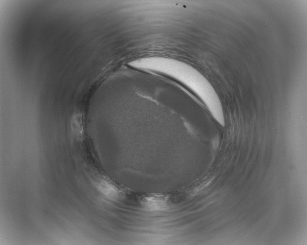 X0000075820232200609291419