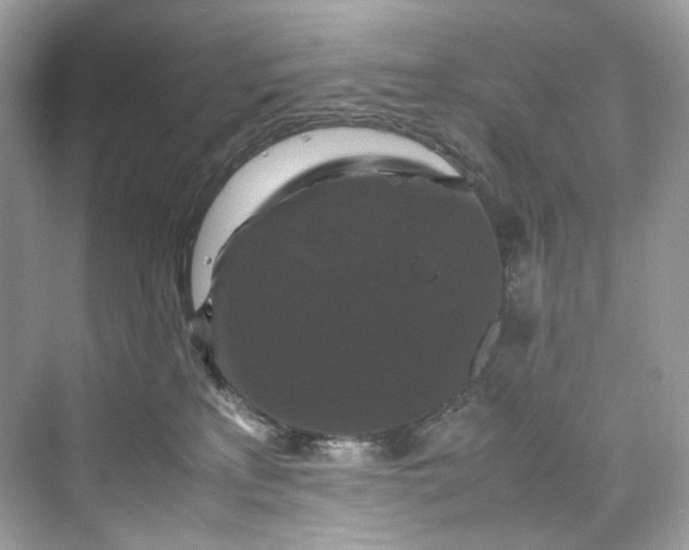 X0000075820233200609291419