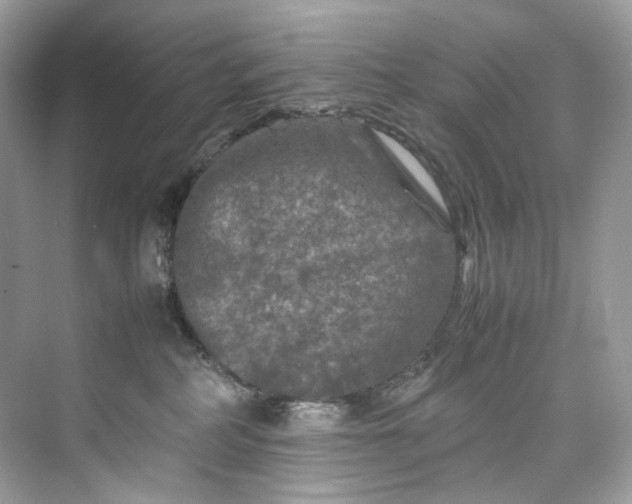 X0000075820234200609291419