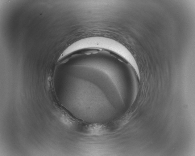 X0000075820235200609291419