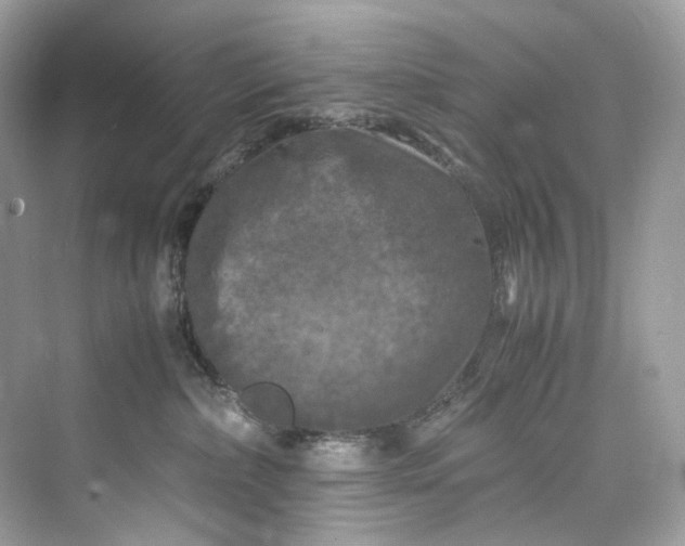 X0000075820236200609291419