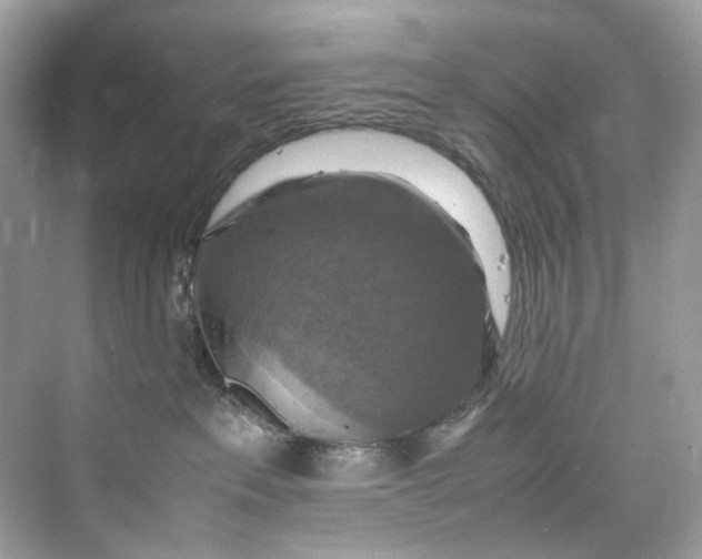 X0000075820237200609291419