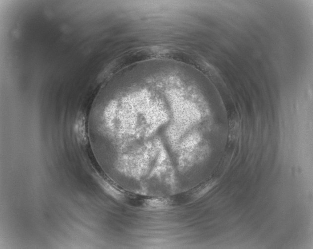 X0000075820238200609291419