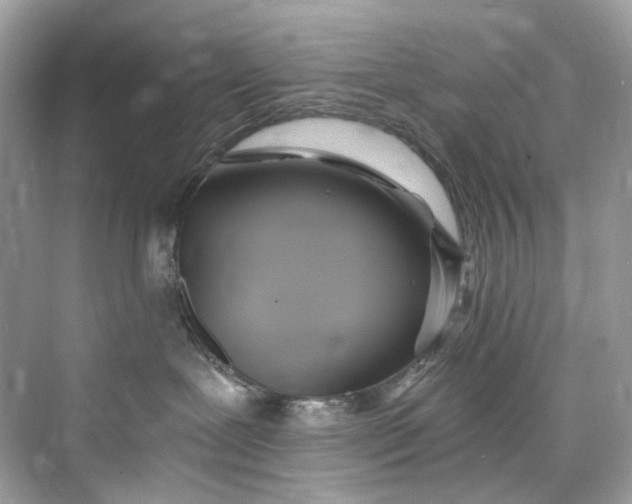 X0000075820239200609291419