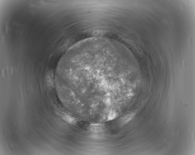 X0000075820240200609291419