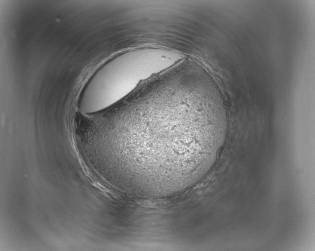 X0000075820241200609291418