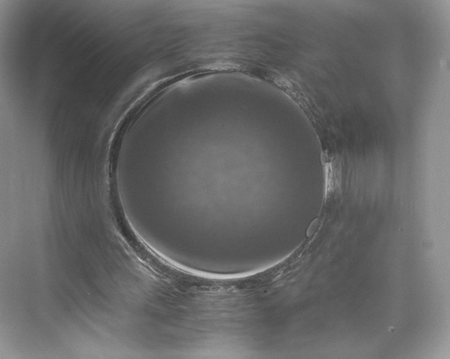 X0000075820243200609291418