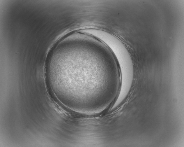 X0000075820244200609291418