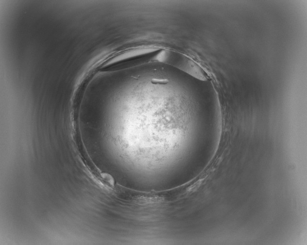 X0000075820245200609291418