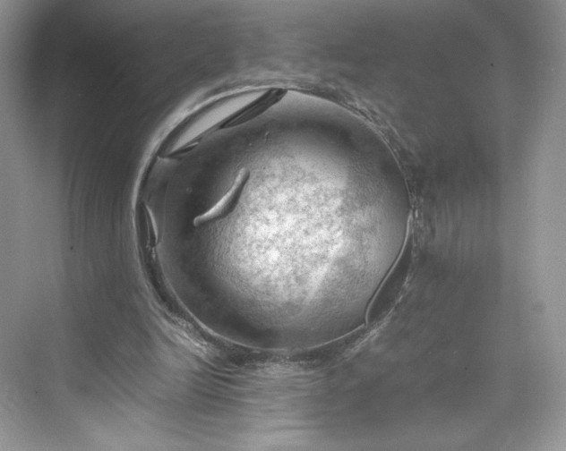 X0000075820246200609291418