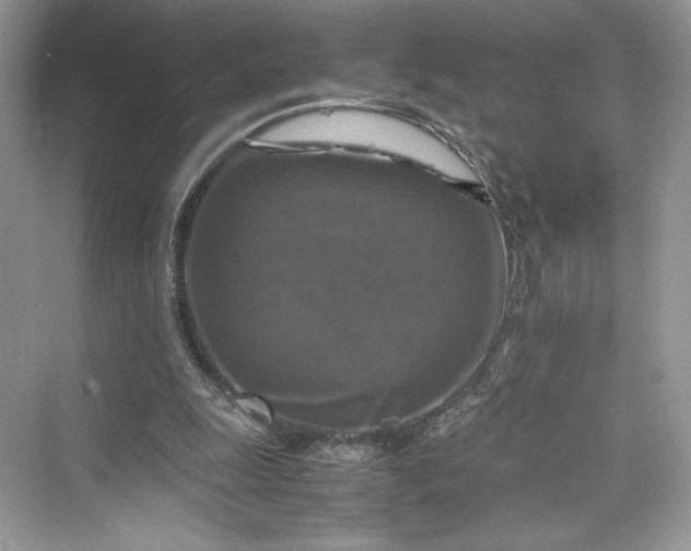 X0000075820247200609291418