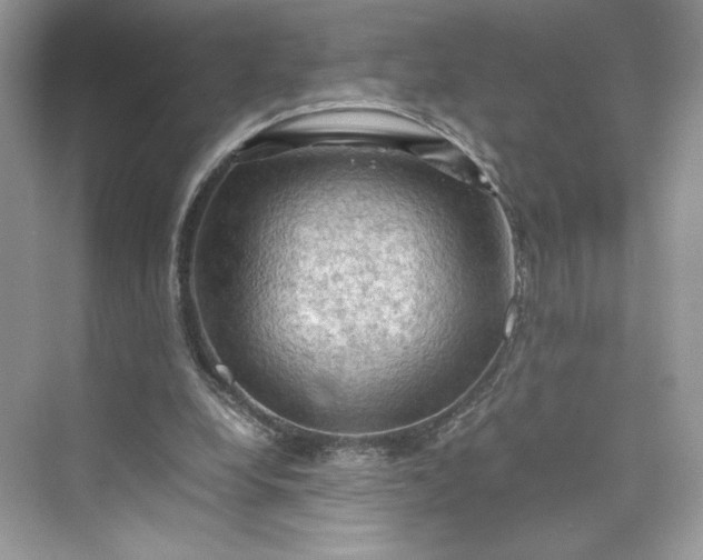 X0000075820248200609291418