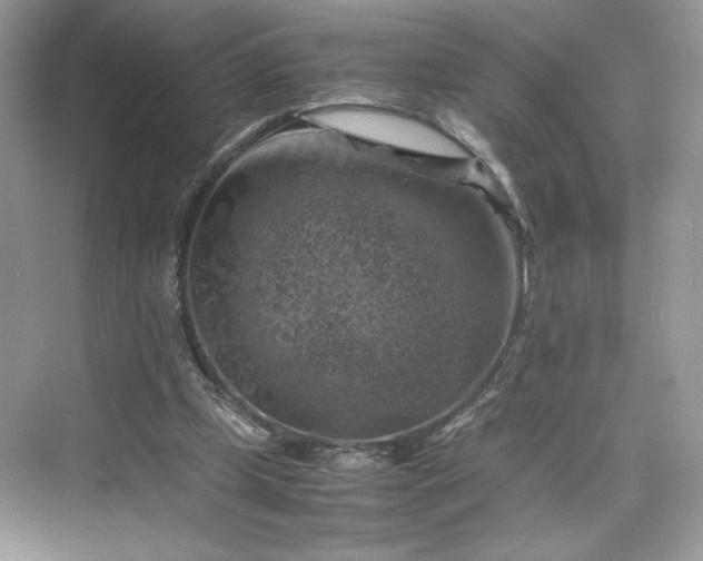 X0000075820249200609291418