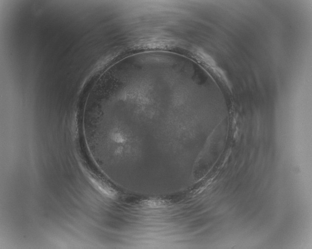 X0000075820250200609291418