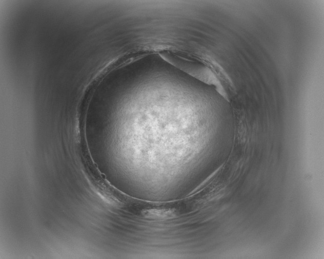 X0000075820251200609291418