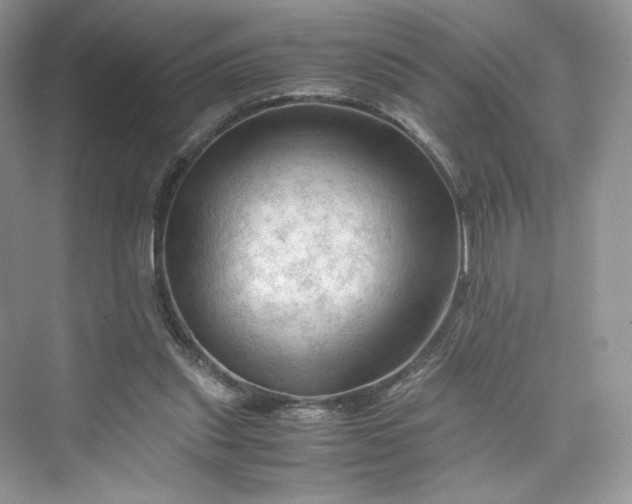 X0000075820253200609291418