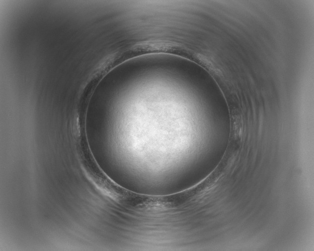 X0000075820254200609291418