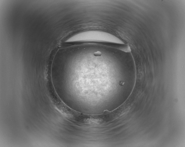 X0000075820255200609291418